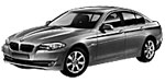 BMW F10 C260D Fault Code